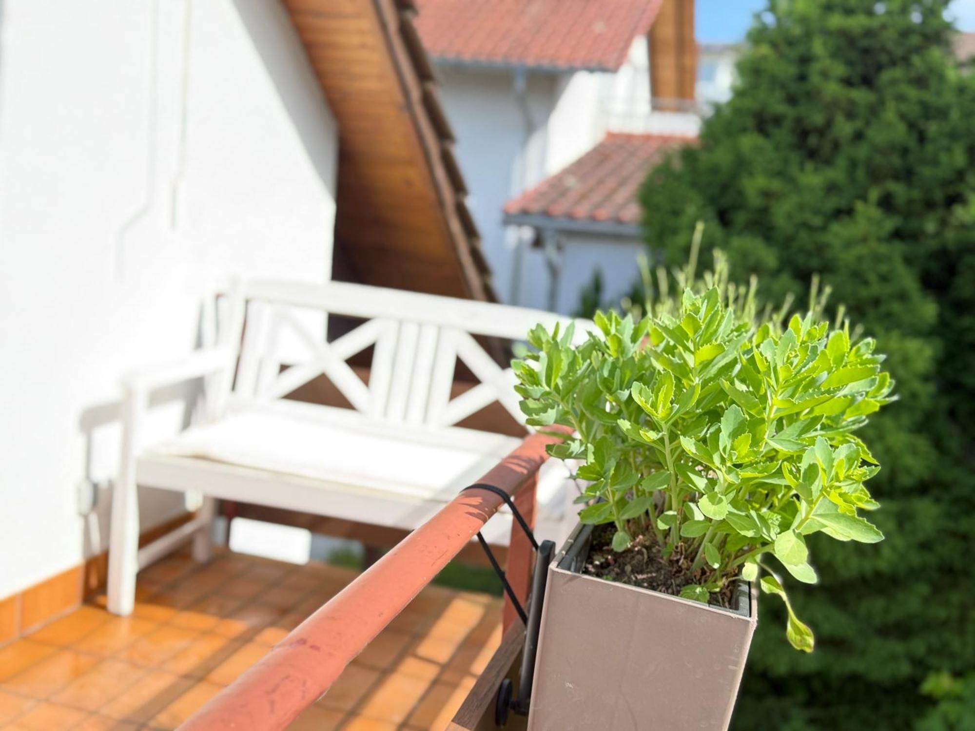 Ferienwohnung Schwarzwaldnest Lahr  Buitenkant foto
